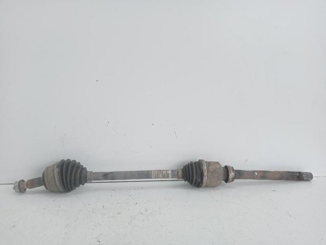 9809528180 Peugeot/Citroen