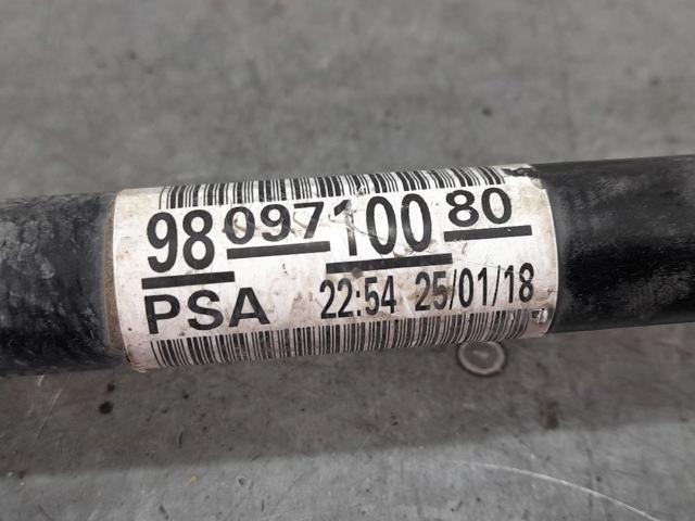 9809710080 Peugeot/Citroen