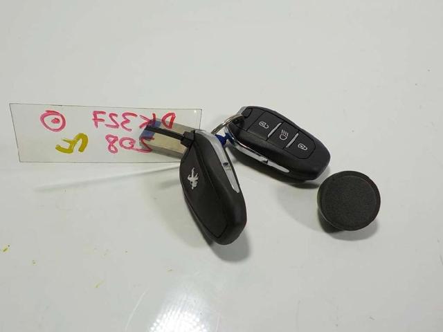 9809759880 Peugeot/Citroen