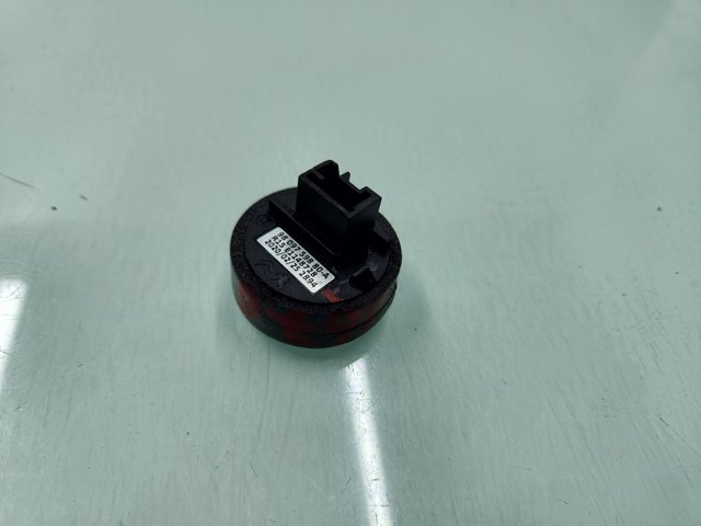 9809759880 Peugeot/Citroen