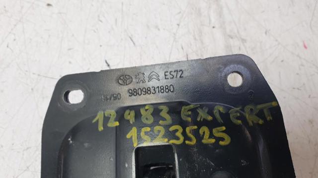 9809831880  comprar en Pontevedra