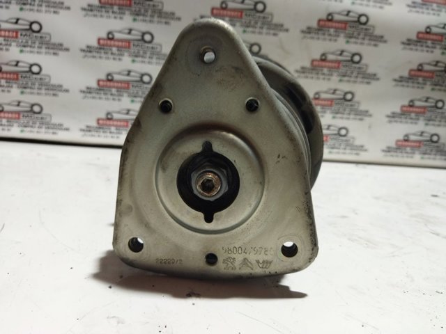 9810539780 Amortiguador delantero derecho  comprar en Zaragoza