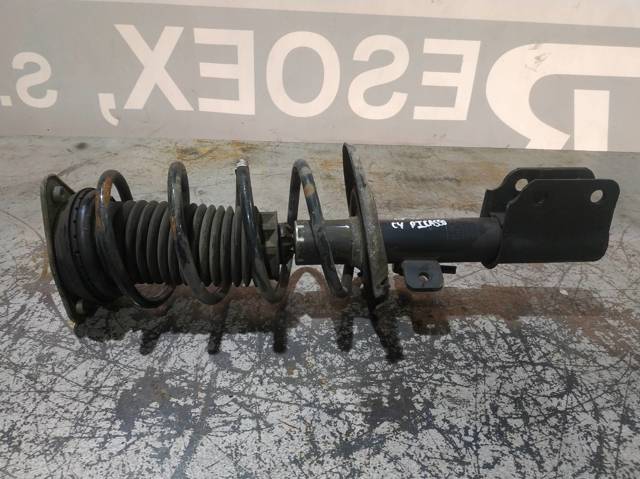 9810539780 Peugeot/Citroen