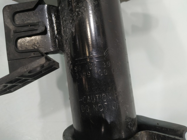 9810539780 Peugeot/Citroen