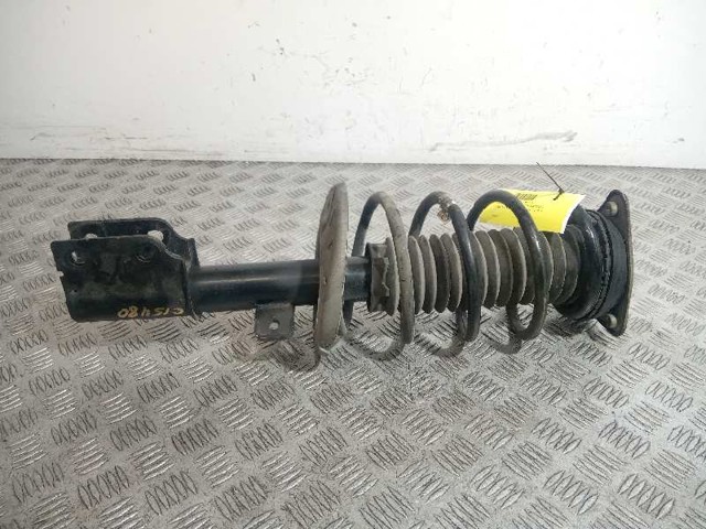 9810539780 Peugeot/Citroen