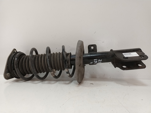 9810539780 Amortiguador delantero derecho  en stock Sabadell