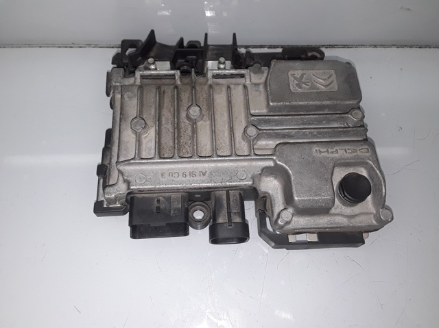 9810858280 Peugeot/Citroen
