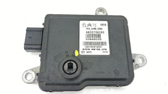 9810858280 Peugeot/Citroen