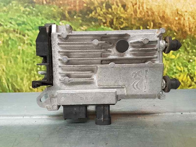 9810858380 Peugeot/Citroen