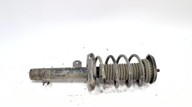 9810915580 Peugeot/Citroen