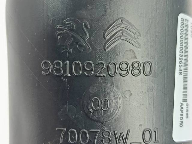 9810920980 Opel