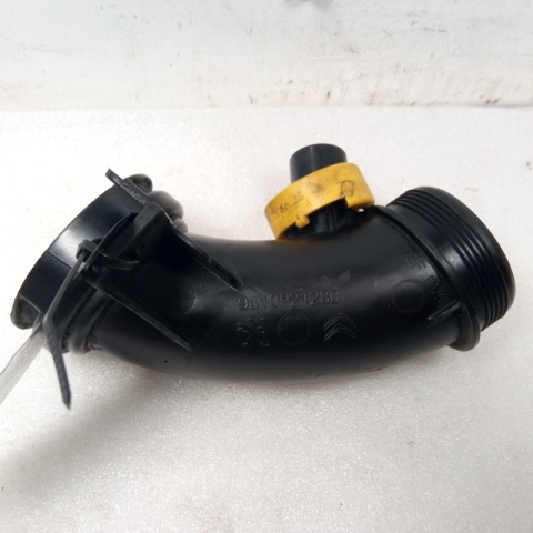9810921280 Peugeot/Citroen