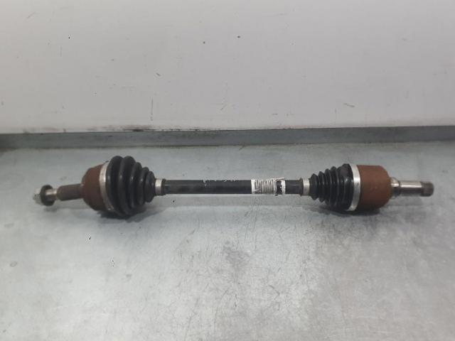 9811176880 Opel