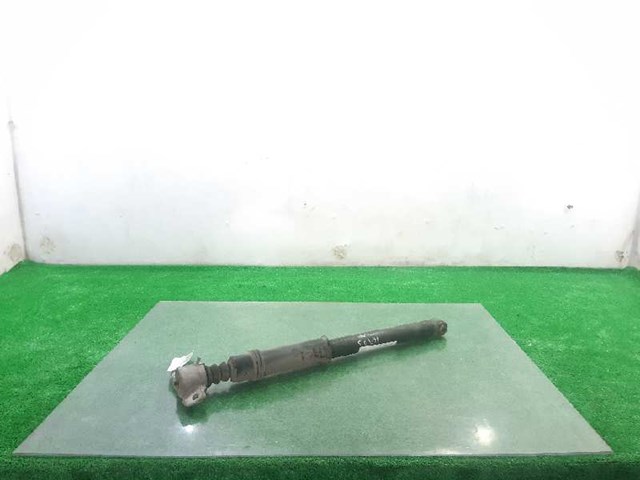 9811519480 Peugeot/Citroen