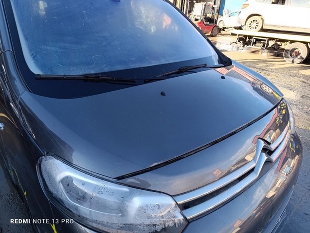 9811892880 Peugeot/Citroen