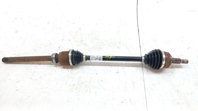 9811933980 Opel