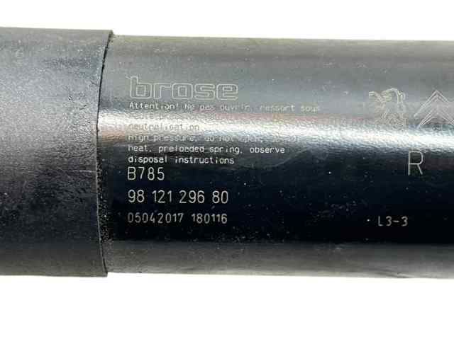 9812129680 Peugeot/Citroen