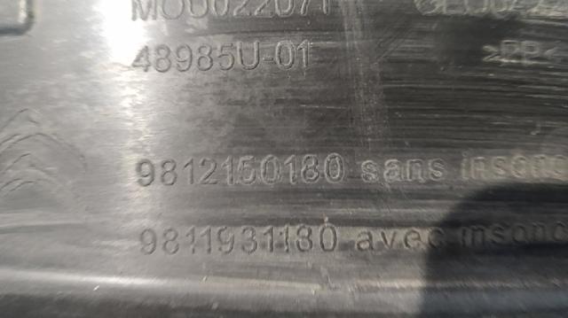 9812150180 Peugeot/Citroen