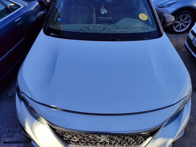 9812305580 Peugeot/Citroen