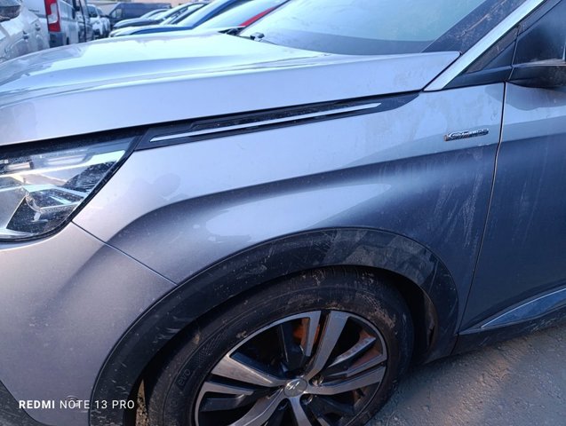 9812305780 Peugeot/Citroen