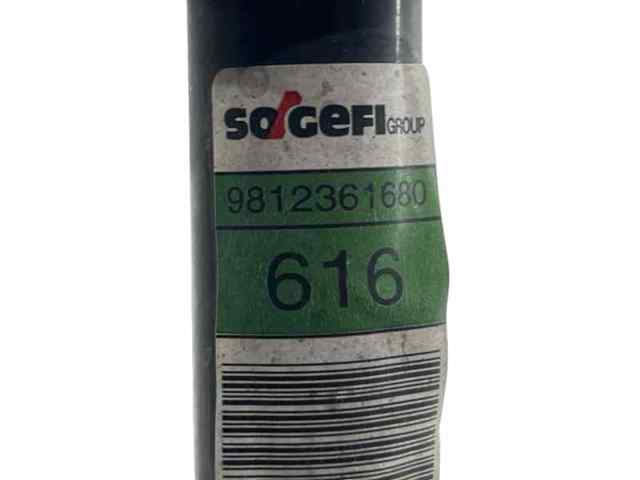 9812361680 Peugeot/Citroen