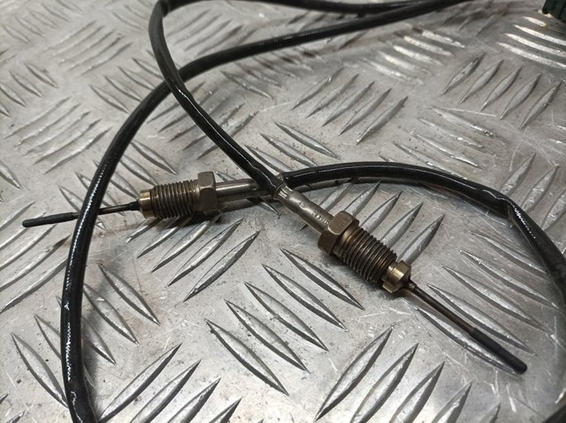 9812376480 PEUGEOT Sensor de temperatura de gases de escape antes del filtro de partículas  en stock Córdoba