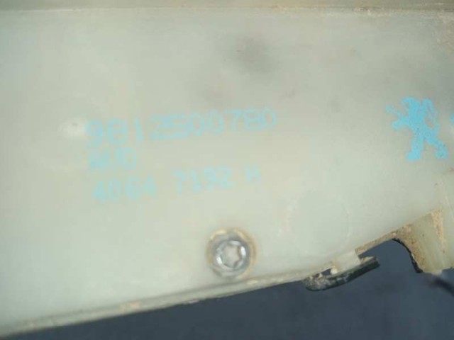 9812500780 PEUGEOT Cerradura de puerta delantera derecha  comprar en Jaén