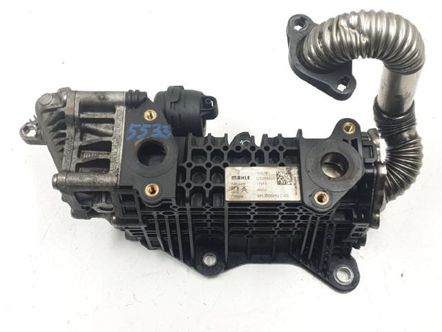 9813050280 PEUGEOT Enfriador de recirculación de gases de escape EGR  en stock Córdoba