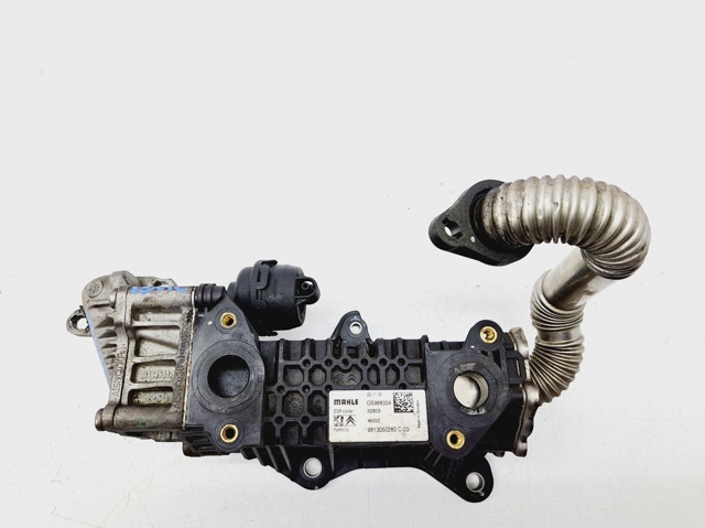 Enfriador EGR de recirculación de gases de escape 9813050280 Peugeot/Citroen