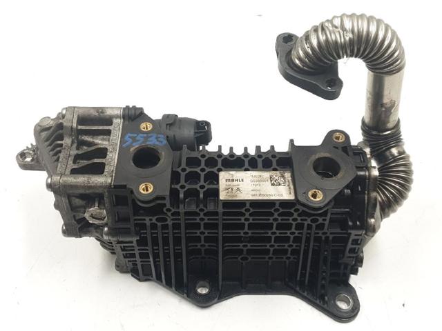 9813050280 PEUGEOT Enfriador de recirculación de gases de escape EGR  en stock Córdoba