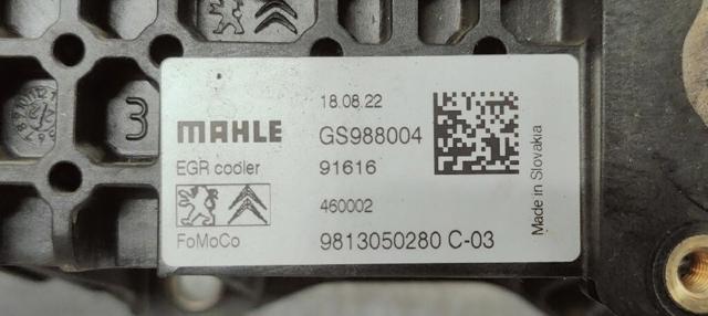 PEUGEOT 9813050280 Enfriador de recirculación de gases de escape EGR  comprar en Murcia