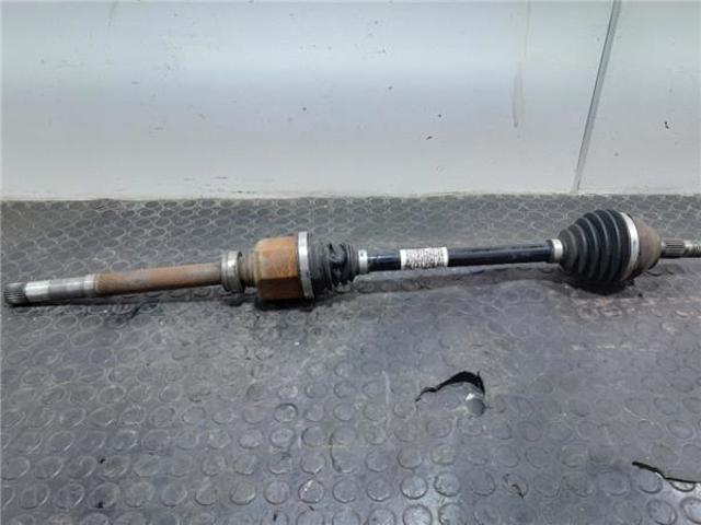 9813122880 Peugeot/Citroen