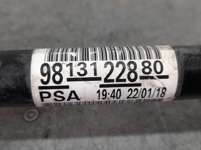 9813122880 Peugeot/Citroen