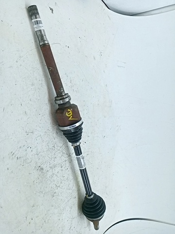 9813122880 comprar Sevilla