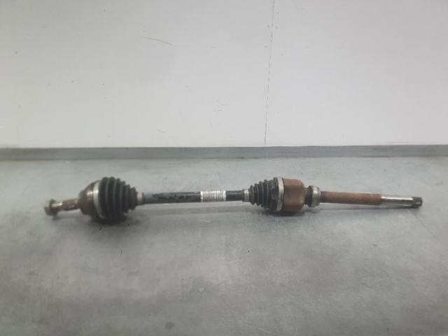 9813122880 Peugeot/Citroen