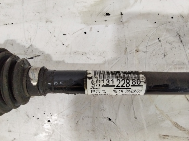 9813122880 Peugeot/Citroen