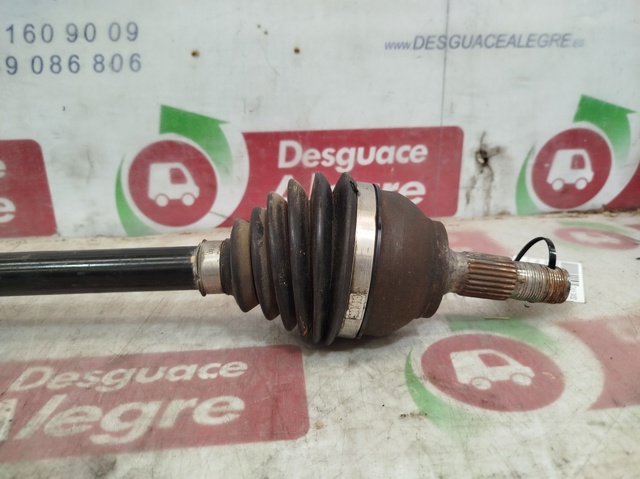 9813122880  en stock Sabadell