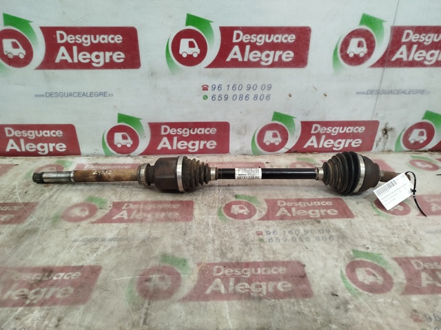 9813122880  disponible Málaga
