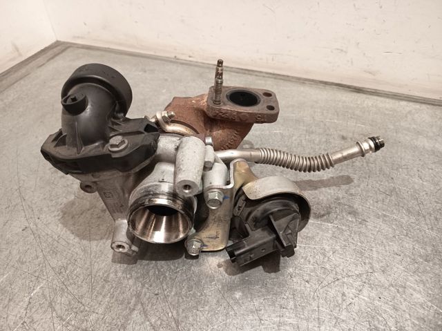 9813245480 Peugeot/Citroen
