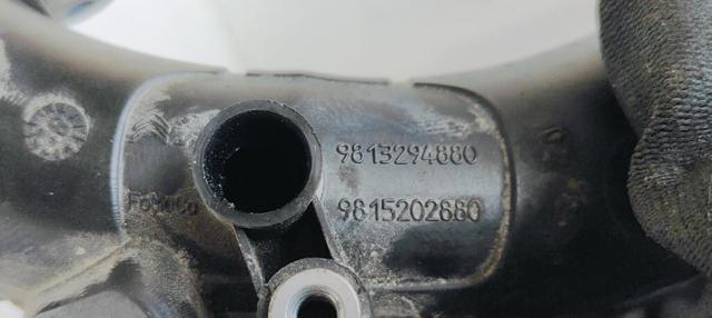PEUGEOT 9813294880 Tubo de admisión del cuerpo de mariposa  disponible Valladolid