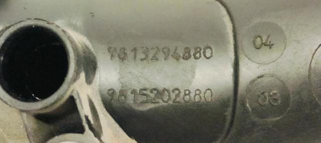PEUGEOT 9813294880 Tubo de admisión del cuerpo de mariposa  en stock Valencia