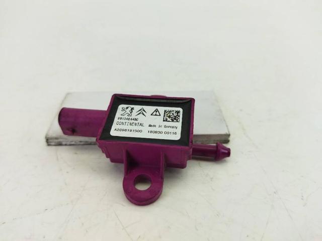 9813464480 Peugeot/Citroen