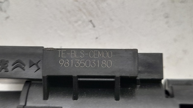 9813503180 Peugeot/Citroen