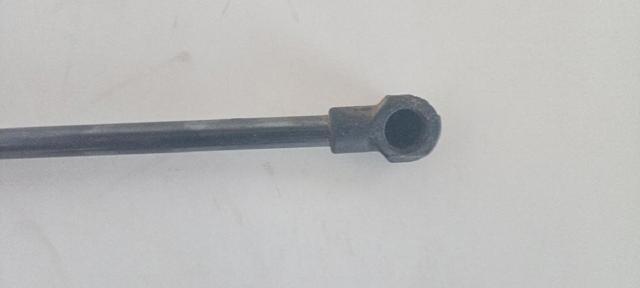 9813913880 Amortiguador de la tapa del maletero  disponible Utrera