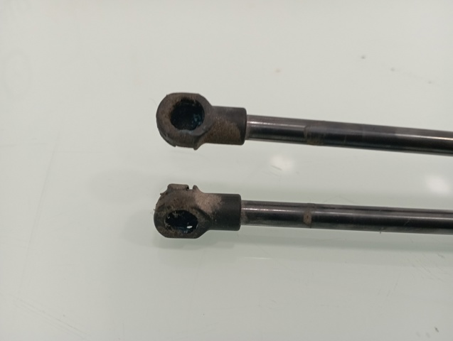9813913880 PEUGEOT Amortiguador de la tapa del maletero  comprar en Jaén