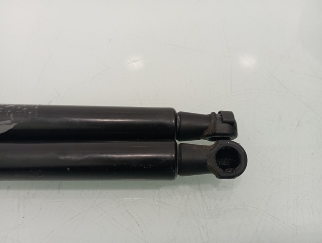 9813913880 PEUGEOT Amortiguador de la tapa del maletero  disponible Ourense
