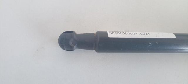 9813913880 Amortiguador maletero comprar Almería