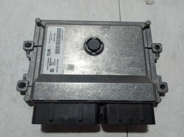 9815037580 Peugeot/Citroen