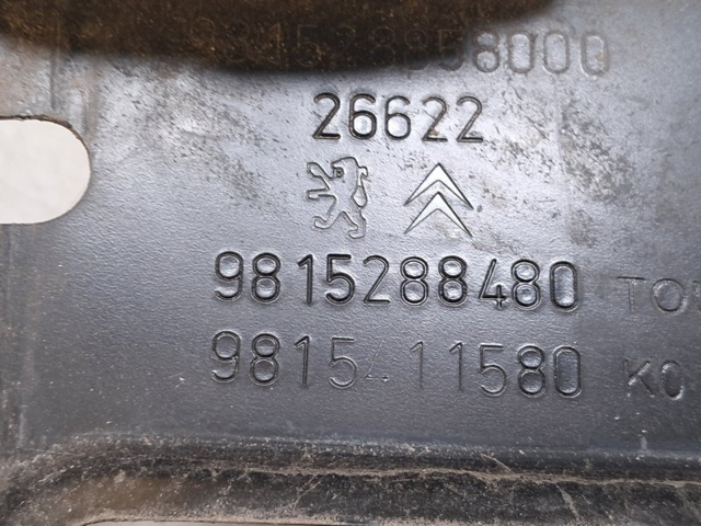 9815288480 Peugeot/Citroen