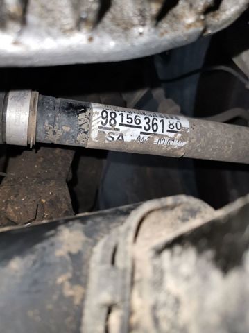 9815636180 Peugeot/Citroen